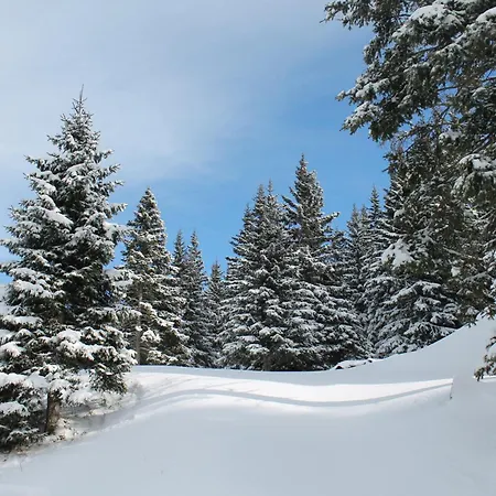 Koralpe Bergglocke シャレー *