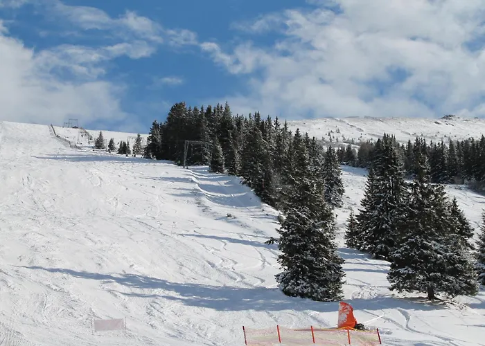 Chalet Koralpe Bergglocke