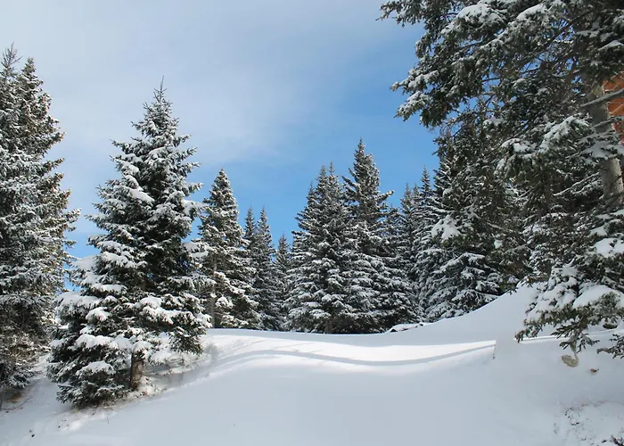 Koralpe Bergglocke Chalet *